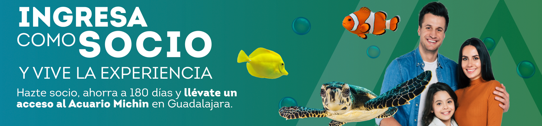 Mantente al día